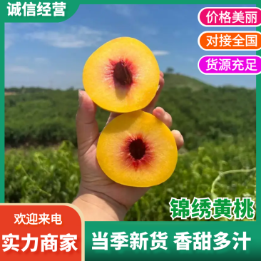 【实力供货】湖北锦绣黄桃精品黄桃现摘现发量大从优