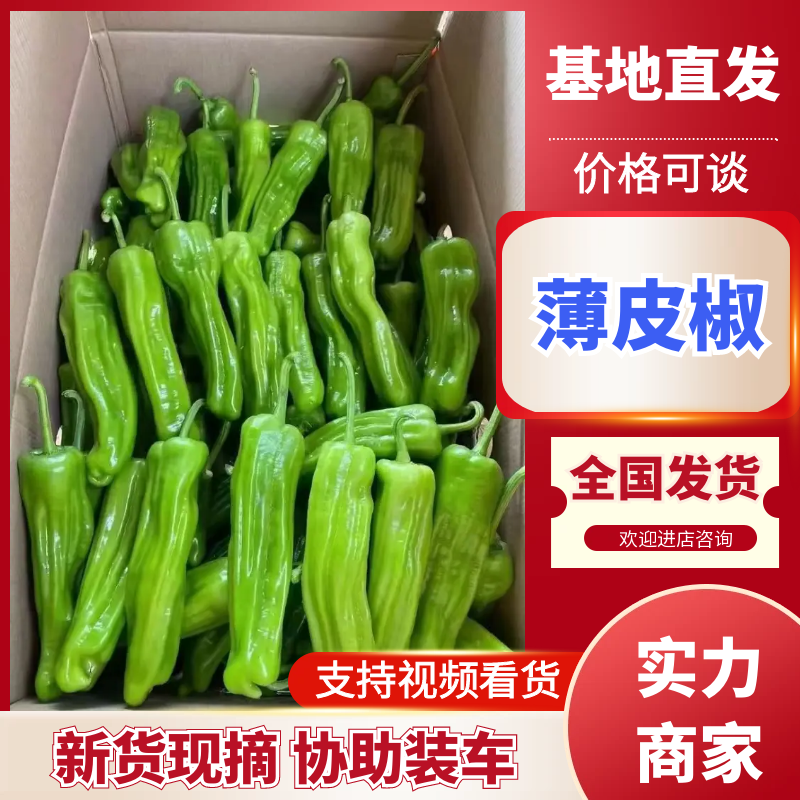 薄皮椒鲜辣椒湖北薄皮椒产地直发货源充足质量保证