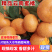 【特优精选】特早蜜橘，皮薄肉厚多汁，对接电商、超市、市场