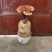 山东灵芝菌棒，艺术品，特产礼品，欢迎咨询