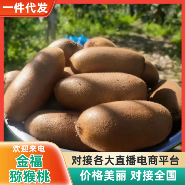 【一件代发】金福猕猴桃承接电商直播带货微商团购落地配等