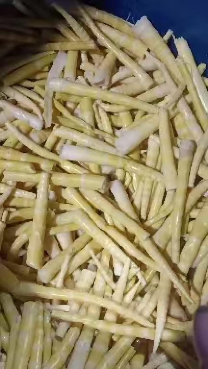新鲜竹笋大量有货一手货源可视频看货规格齐全