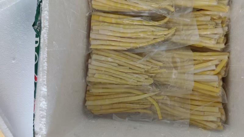 新鲜竹笋大量有货一手货源可视频看货规格齐全