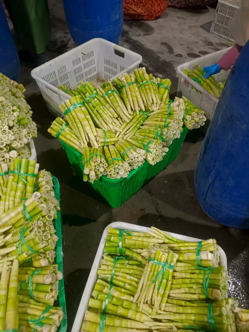 新鲜竹笋大量有货一手货源可视频看货规格齐全