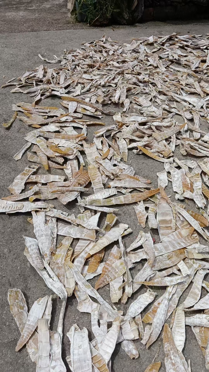精选笋干品种齐全可电联详谈对接各大平台
