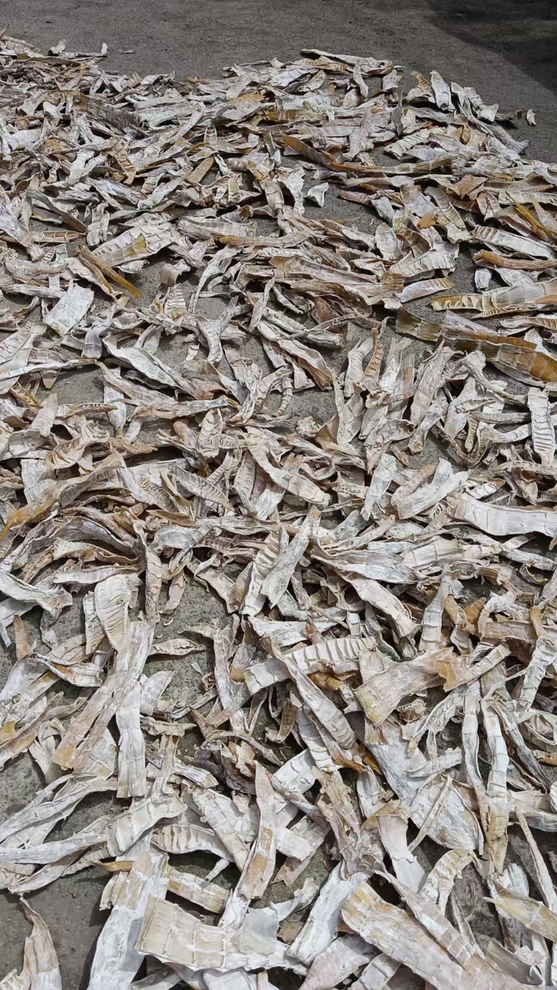 精选笋干品种齐全可电联详谈对接各大平台