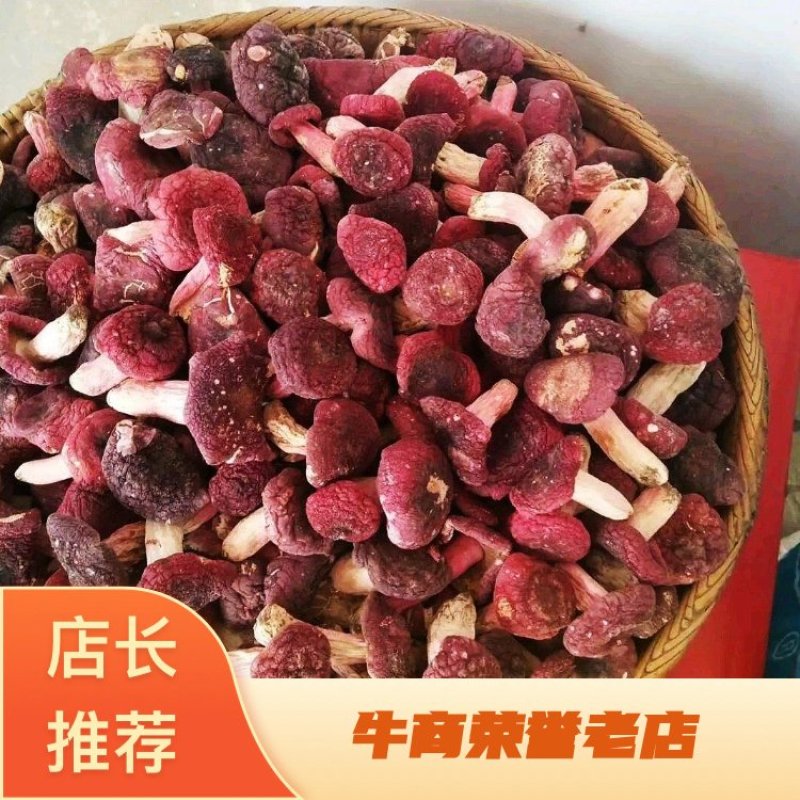 一斤批发红菇原产地野生红菇干货红蘑菇红椎菌包邮