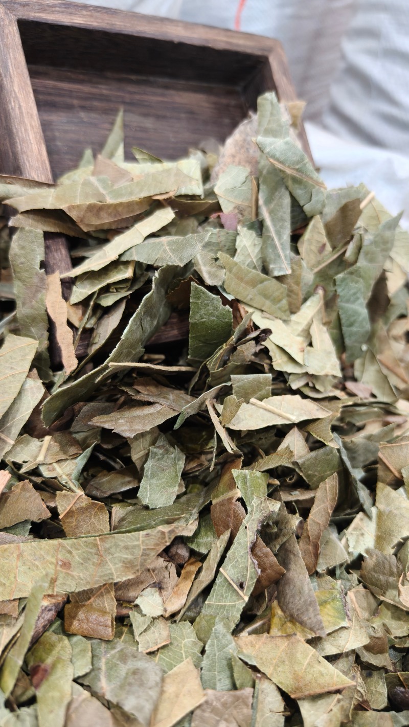 枇杷叶，新货枇杷叶切片质量保证，经营各种中药材！