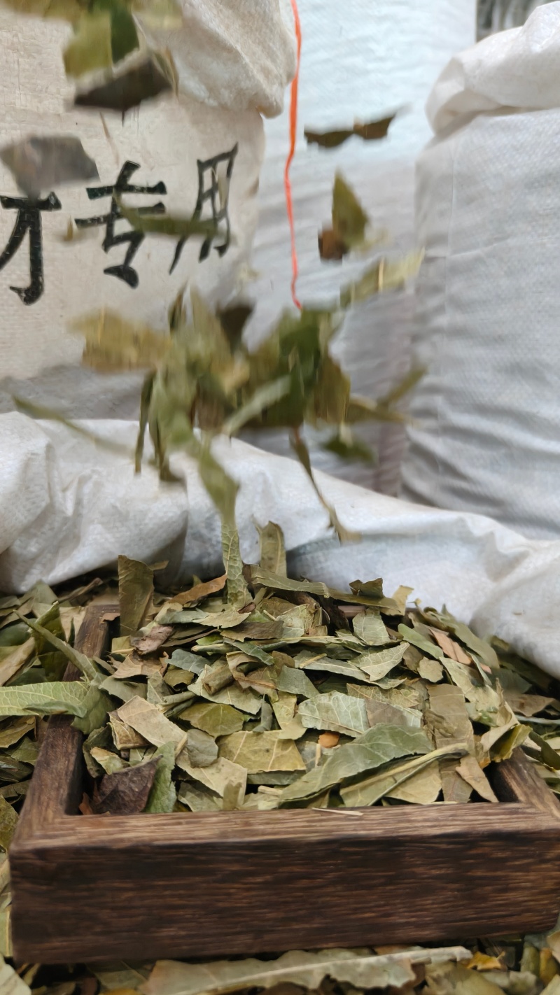 枇杷叶，新货枇杷叶切片质量保证，经营各种中药材！