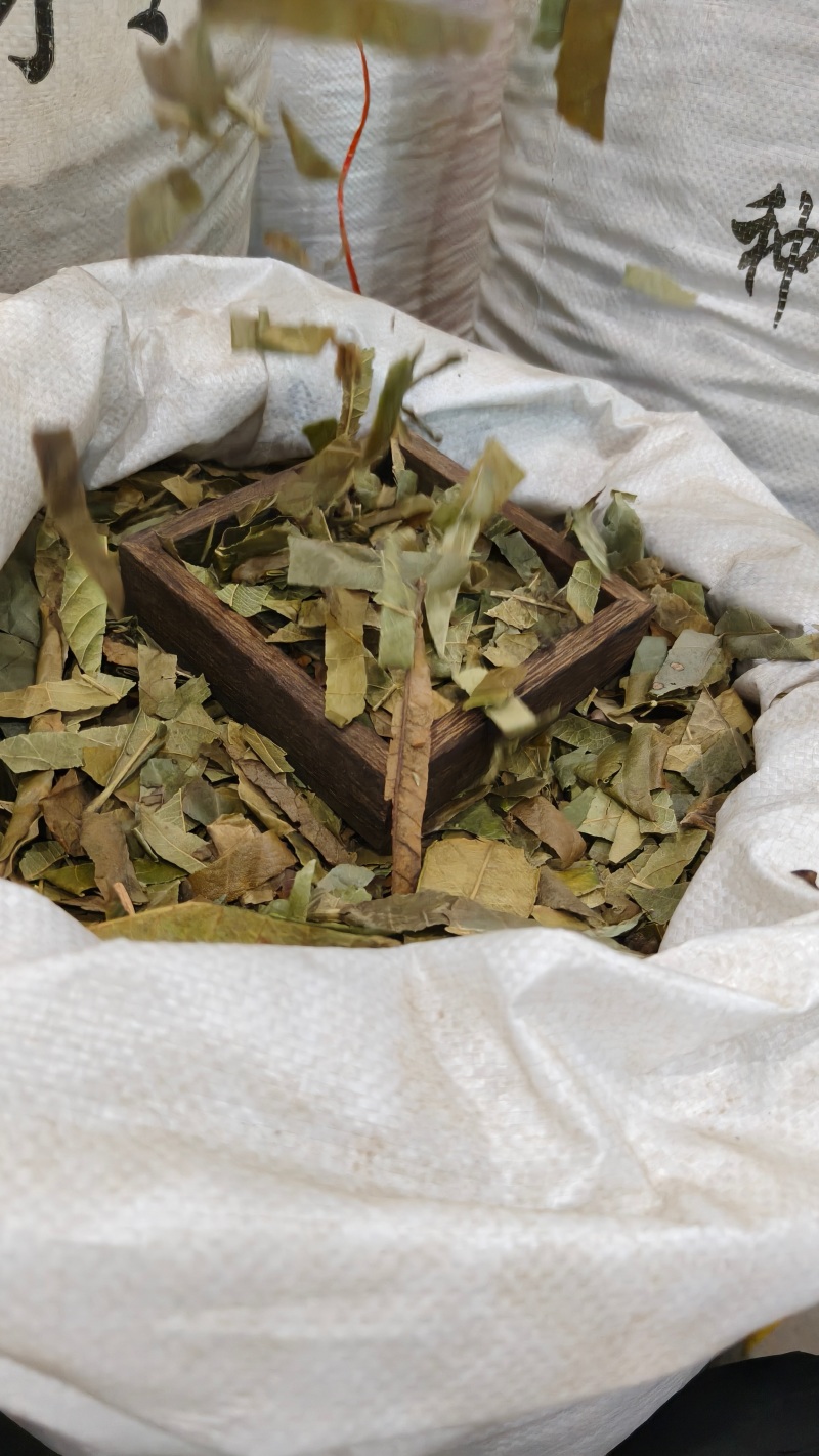 枇杷叶，新货枇杷叶切片质量保证，经营各种中药材！