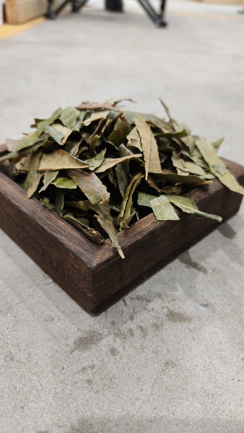 枇杷叶，新货枇杷叶切片质量保证，经营各种中药材！