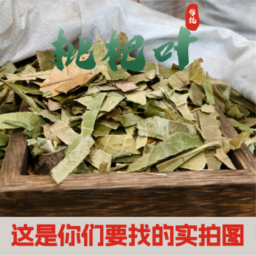 枇杷叶，新货枇杷叶切片质量保证，经营各种中药材！