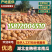 【精品南瓜】金韩蜜本南瓜长条形南瓜颜色鲜靓保证质量