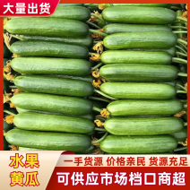 【现摘现发】新鲜小黄瓜稳定供应全国发货可视频看货