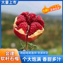 会理石榴软籽石榴一件代发代办高次果二级果石榴榨汁果
