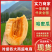 哈密瓜晓蜜25哈密瓜民勤哈密瓜产地直发口感脆甜