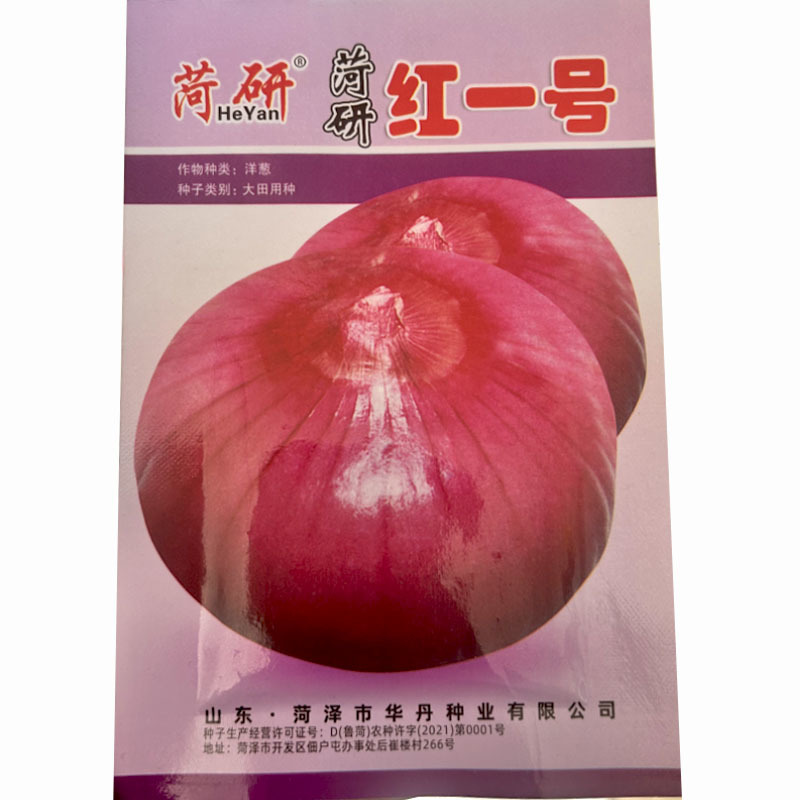 红皮水果洋葱种子中日照口感甜脆辣味适中大田种植