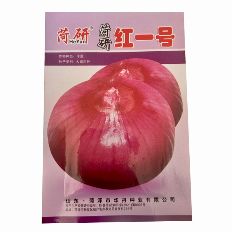 红皮水果洋葱种子中日照口感甜脆辣味适中大田种植