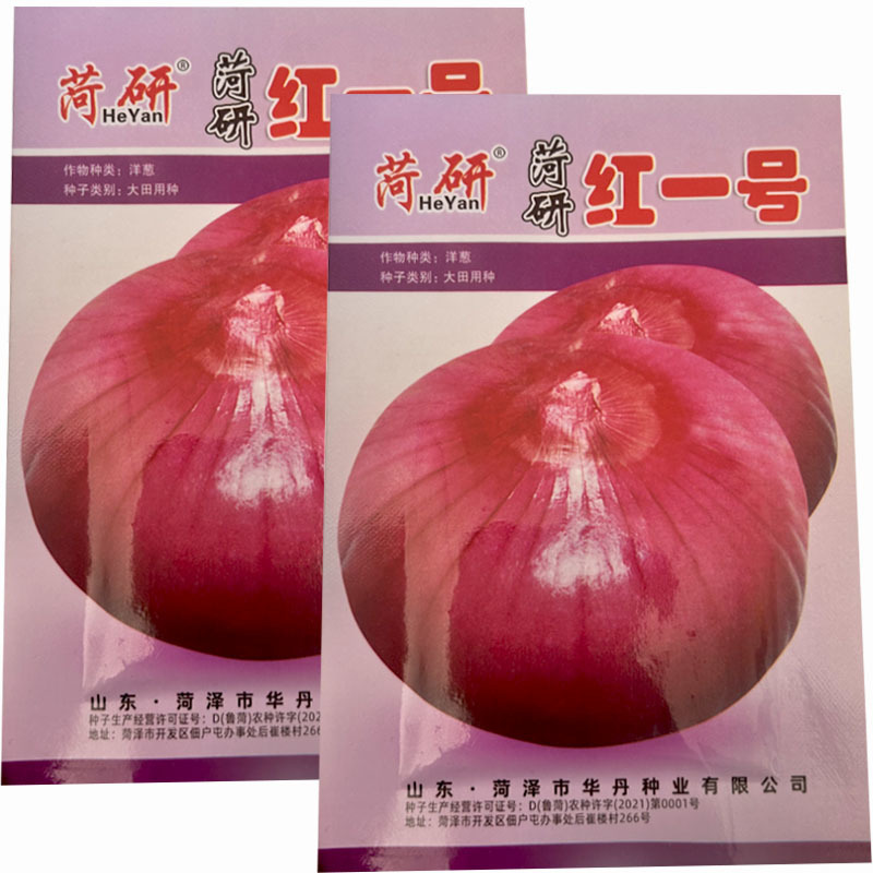红皮水果洋葱种子中日照口感甜脆辣味适中大田种植