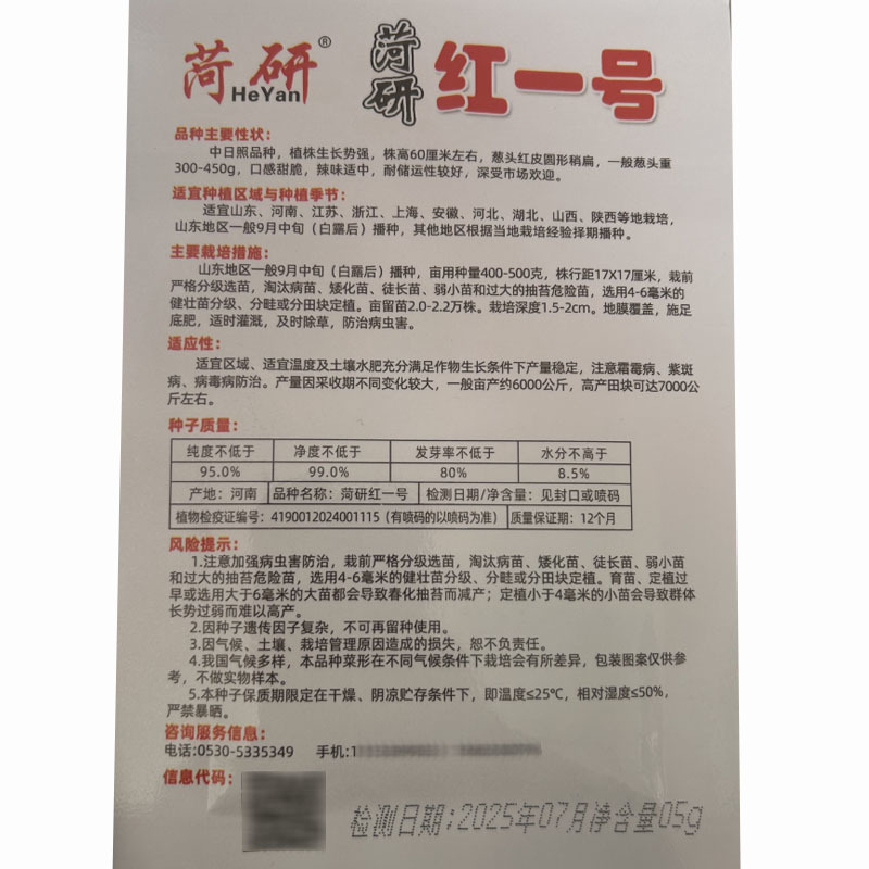 红皮水果洋葱种子中日照口感甜脆辣味适中大田种植