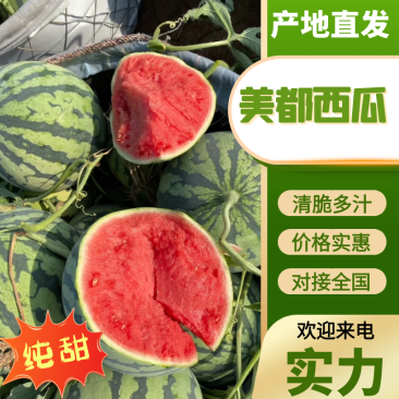 美都西瓜陕西美都西瓜量大从优包熟包甜代发全国
