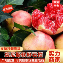 突尼斯软籽石榴四川会理石榴香甜多汁品质保障