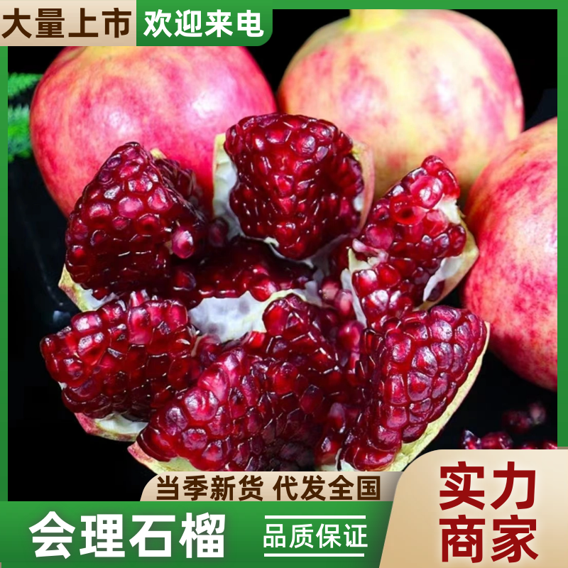 会理石榴四川石榴现摘现发品质保障对接电商市场社区