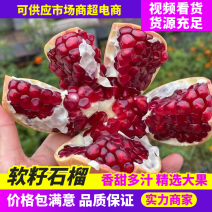 软籽石榴四川石榴产地直发货源充足保质保量代发全国