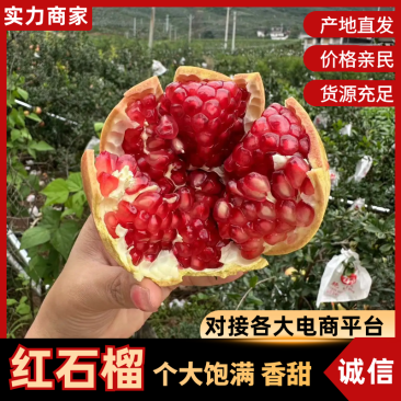 红石榴四川会理石榴产地一手货源坏果包赔量大从优