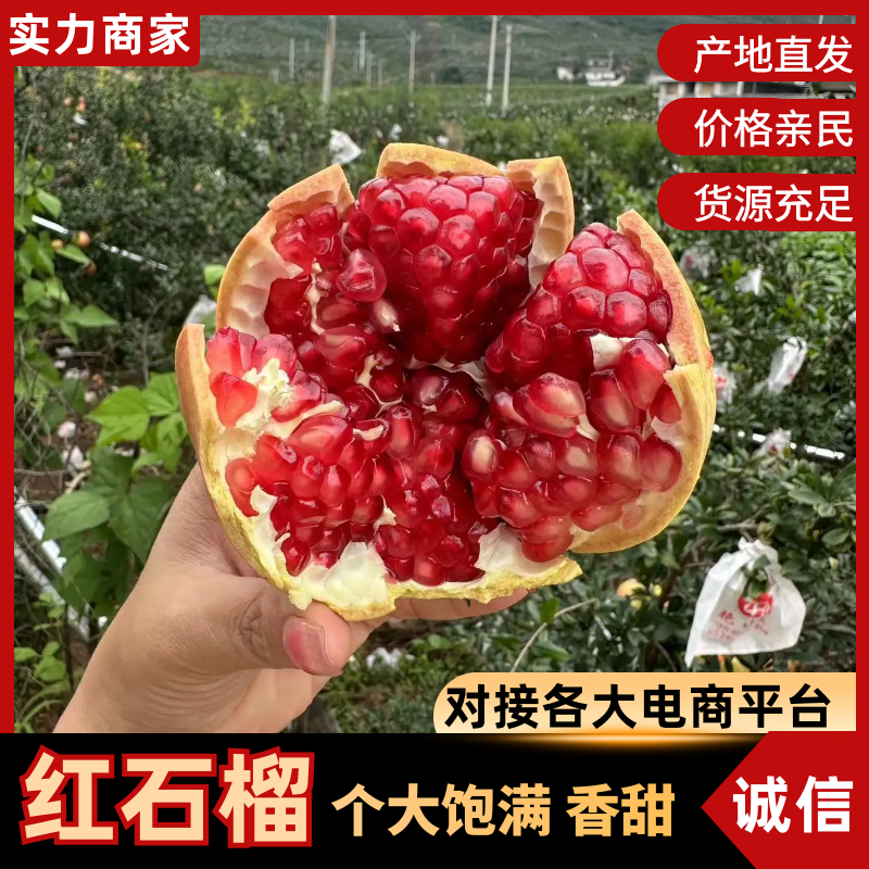 红石榴四川会理石榴产地一手货源坏果包赔量大从优