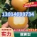 安徽砀山圆黄梨大量上市色泽好糖度高价格低对接全国市场