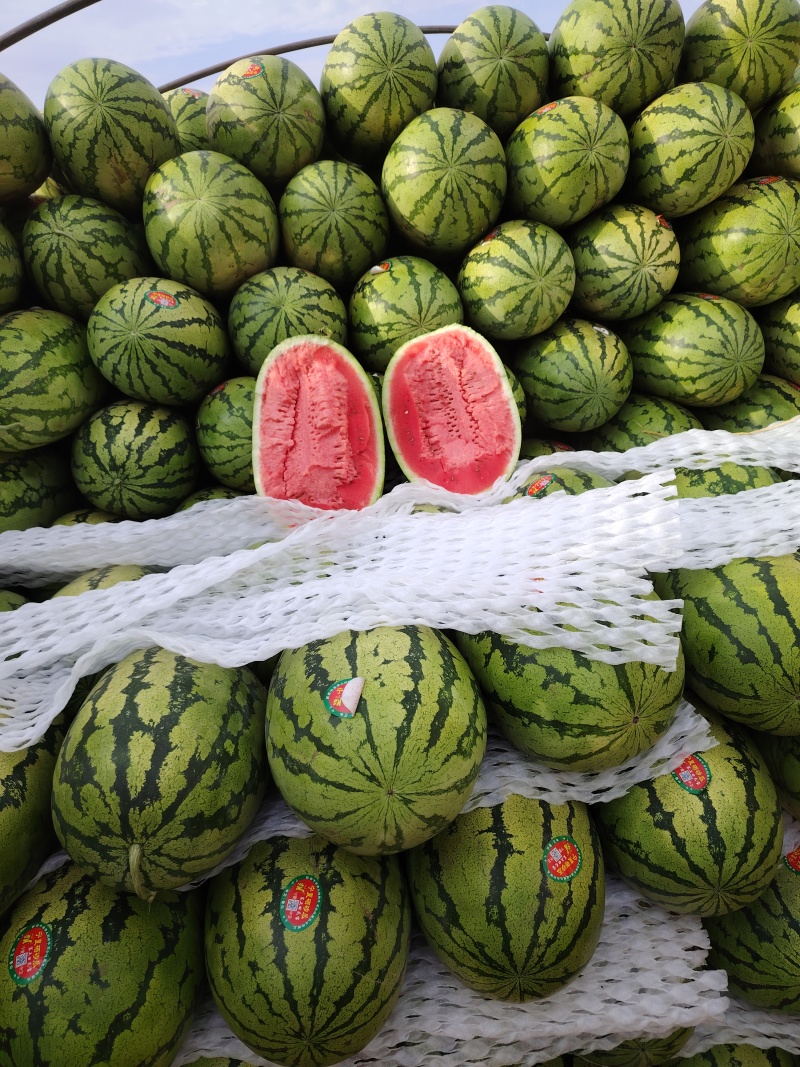 甘肃硒砂瓜、石头瓜、品类齐全大吨位供货，个大瓤红视频看货