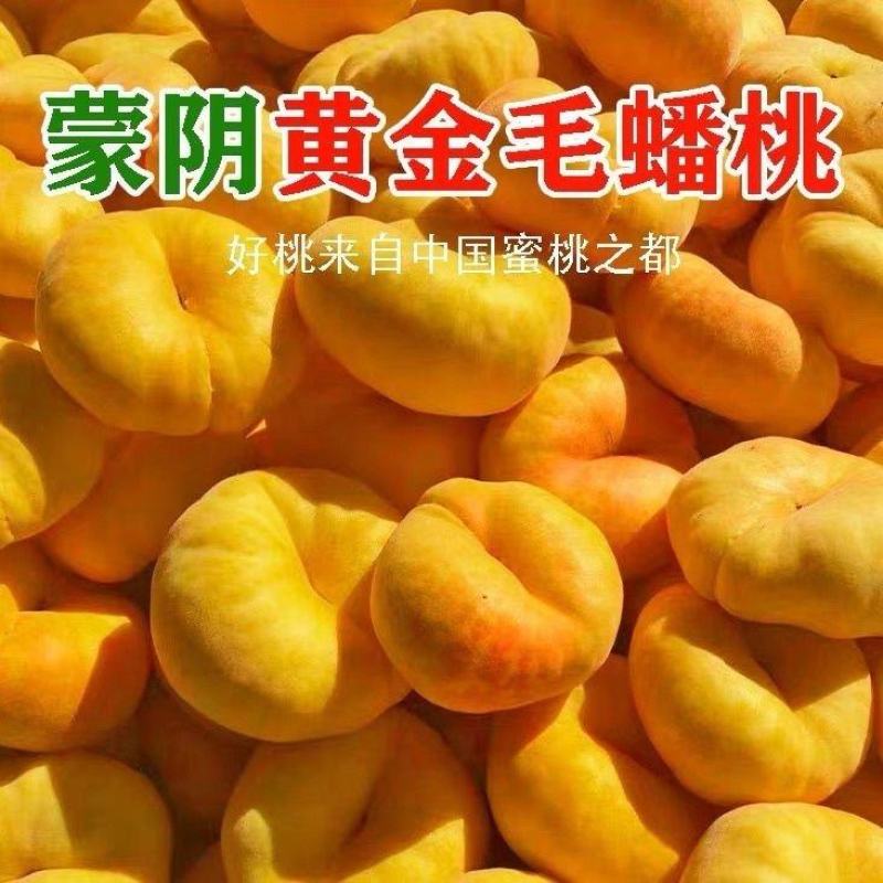 毛蟠桃基地直销量大质优价格优惠一手货源支持视频看货