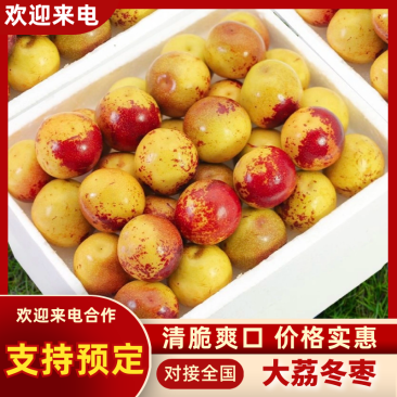 （精选）大荔冬枣陕西产区直发保质保量供货对接全国