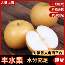 陕西汉中城固丰水梨已经上市，产地直发，一条龙服务
