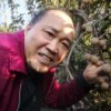 谷家武的一亩田店铺