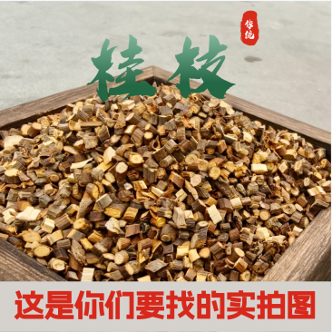 桂枝