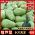 【葫芦梨】山西运城葫芦梨啤梨三季梨可对接工厂电商市场