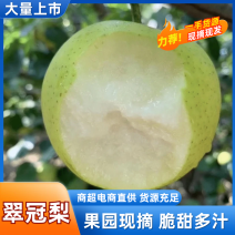【实力推荐】江苏东台翠冠梨产地直销可对接各大市场