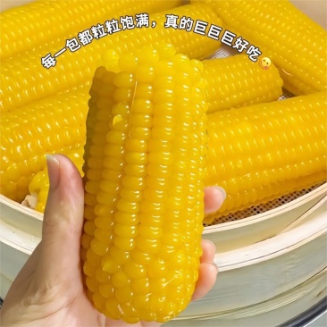 黄糯玉米