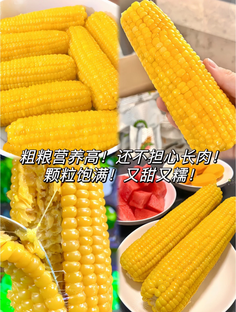 黄糯玉米