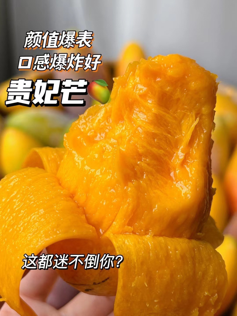 广西贵妃芒