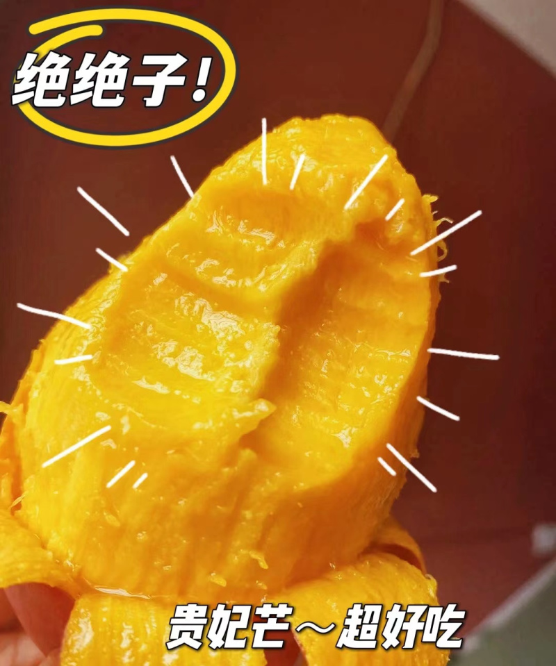广西贵妃芒