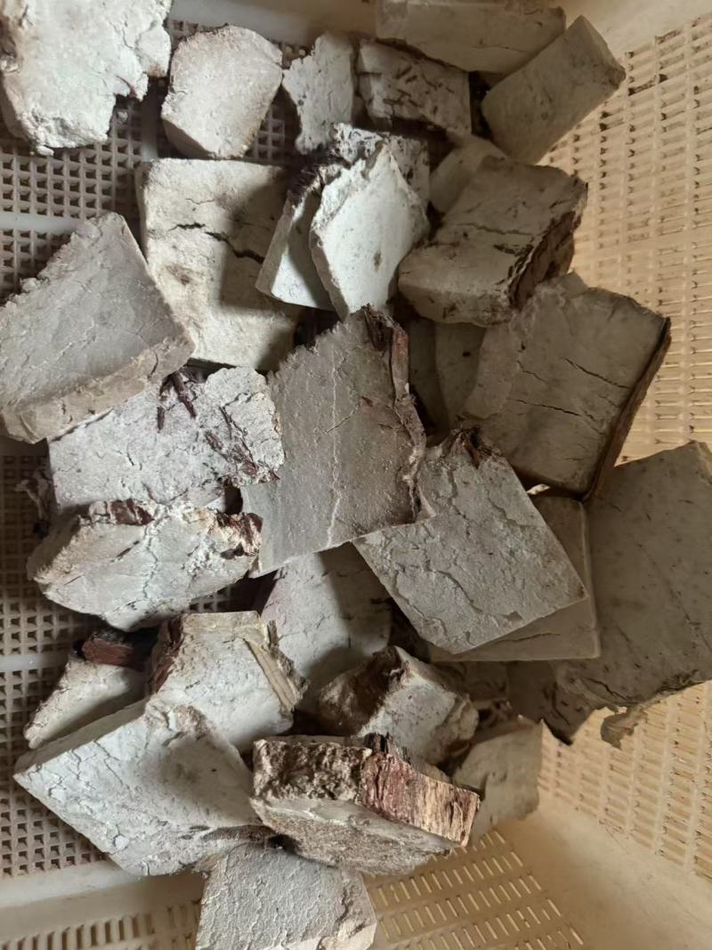云南茯神花神货源充足保质保量量大从优致电联系全国包邮