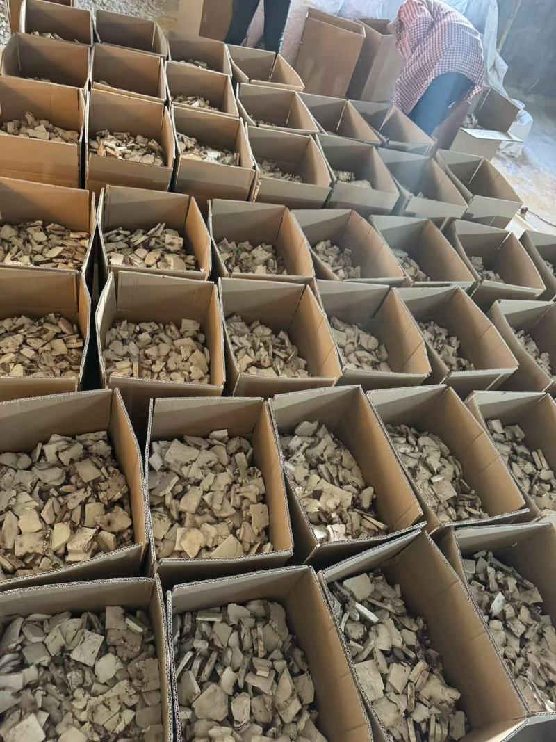 云南茯神花神货源充足保质保量量大从优致电联系全国包邮