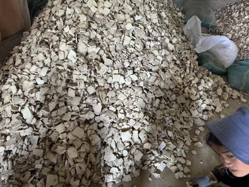 云南茯神花神货源充足保质保量量大从优致电联系全国包邮