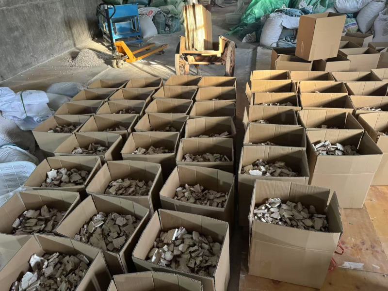 云南茯神花神货源充足保质保量量大从优致电联系全国包邮