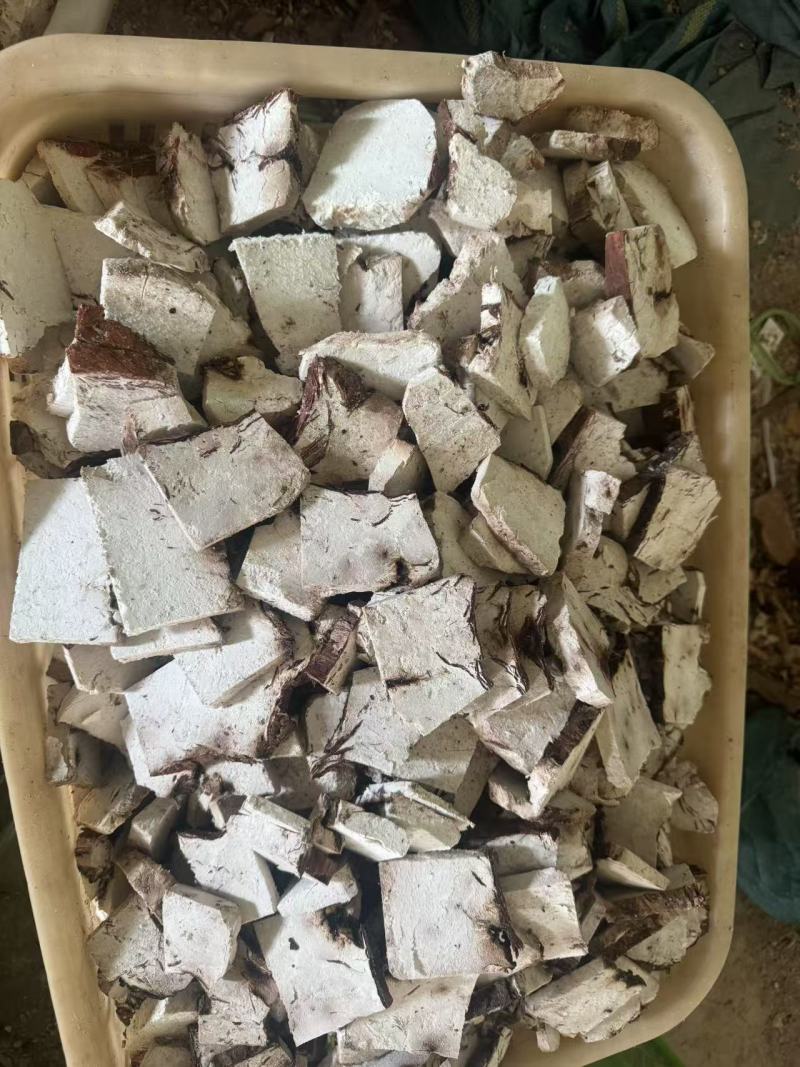 云南茯神花神货源充足保质保量量大从优致电联系全国包邮