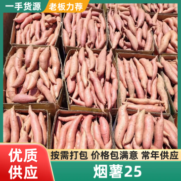 烟薯河北烟薯25基地直发品质保证代发全国市场电商