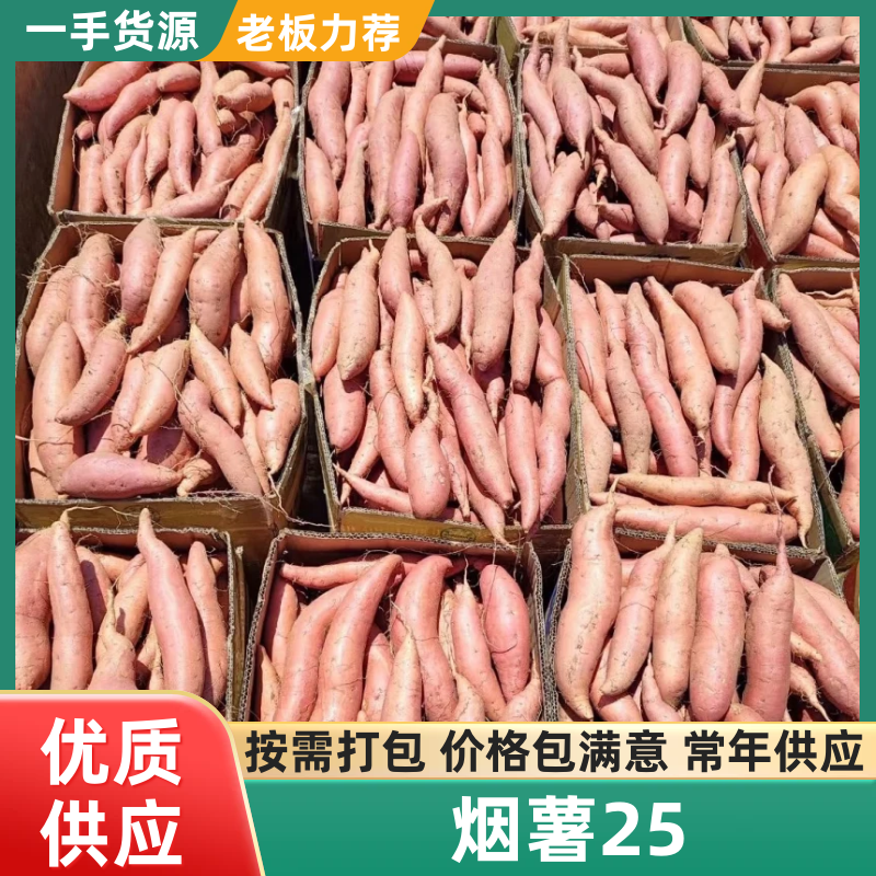 烟薯河北烟薯25基地直发品质保证代发全国市场电商